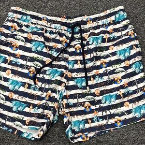 Ocean Adventure Men's Swim Trunks